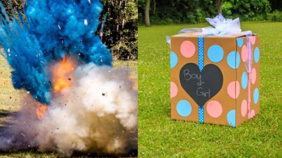 Yok artık! Bebeklerinin cinsiyet açıklama partisi depreme neden oldu!