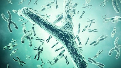 Toksik Y kromozomu erkeklerin ömrünü kısaltıyor!