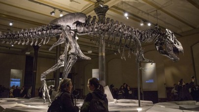 Dünyada tam tamına 2, 5 milyar T-rex dinozor türü yaşamış olabilir