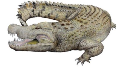 Milyonlarca yıl önce yaşamış Timsah türü keşfedildi