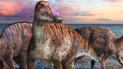 Yeni bir dinozor türü keşfedildi