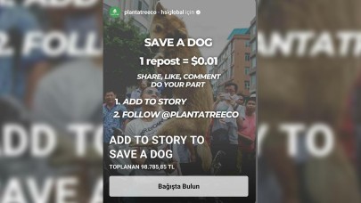 Save a Dog kampanyası yalan mı?