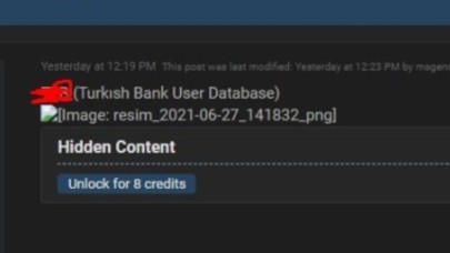 Bir Türk bankasına ait veriler internette satışa çıkarıldı!