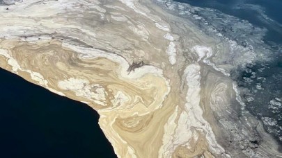 Marmara Denizi bu gidişle hem ölecek hem öldürecek! Kolera salgını kapıda...