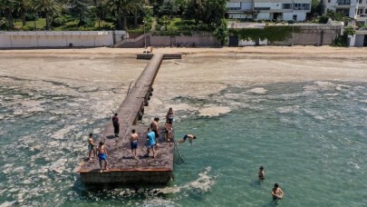 Müsilaj incelemelerinden umut verici haber!