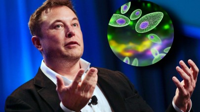 Elon Musk: Toksoplazma paraziti insanlığı yönetecek