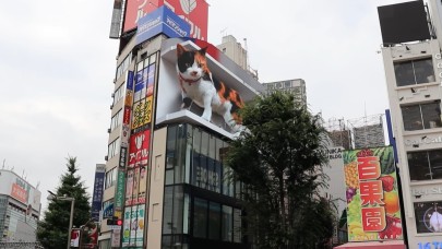Yine Japonlar! Dev 3D kedi yeni yuvasını buldu...