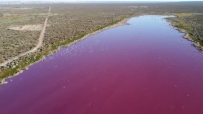 Patagonya'da bir gölün rengi pembeye döndü!