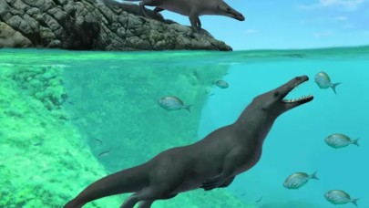 Bilim insanları,  4 ayaklı bir balina fosili keşfetti!