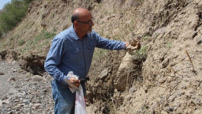 Erzurum'da bulundu! Tam 160 milyon yıllık...