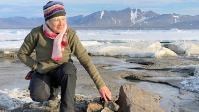 Dünyanın en kuzeyinde yeni bir ada keşfedildi!