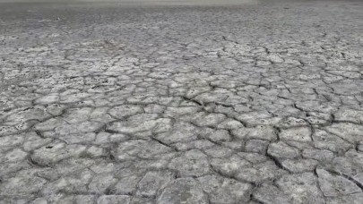 Van Gölü'nde korkutan manzara!