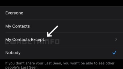 WhatsApp'tan kullanıcılara "Oh!" dedirtecek yeni 'son görülme' ayarı!
