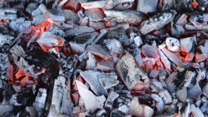 Balık atıklarından plastik üretildi! Merak etmeyin balık kokusu yok...