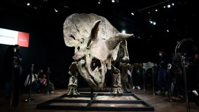 Parası var alıyor adam: Dinozor fosili için 5.5 milyon euro ödedi!