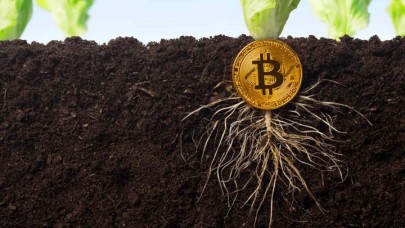 Bitcoin Taproot güncellemesi nedir? Bitcoin'e etkisi ne olacak?