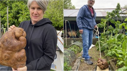 Onun adı Doug! Ve o dünyanın en büyük patatesi...