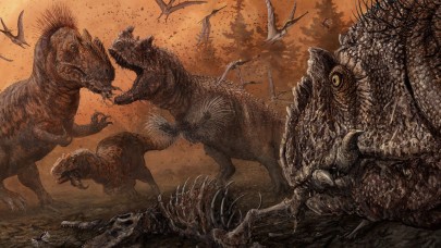 Dinozorlar hakkında 10 ilginç bilgi! Onlar da kanser oluyordu...