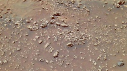 Mars'ta yeni bir oluşum keşfedildi: Çiçeğe benziyor