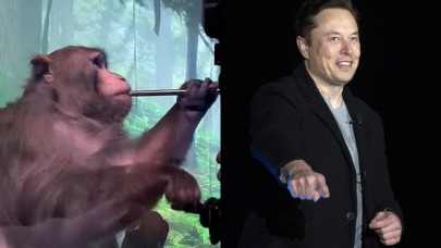 Elon Musk'ın Neuralink beyin çipi testine giren 15 maymun öldü!