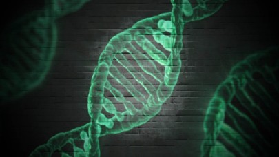 Evrim ile ilgili bildiklerimizi değiştirebilecek araştırma!