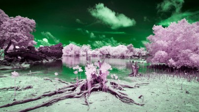 Bu adada yaşayanların yüzde 10'u sadece siyah ve beyaz rengi görebiliyor!