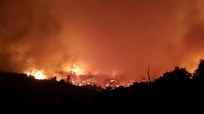 Nesli tükenmekte olan 12 akbabayı öldüren Dolan yangını faili hapse girdi!