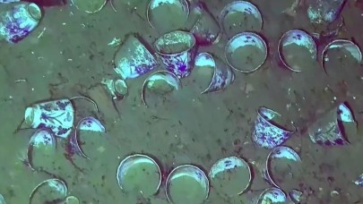 San Jose kalyonu 300 yıldır suyun altında! Değeri tam 18 milyar dolar