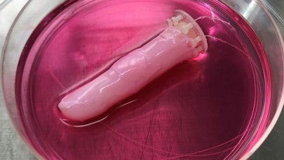 Robotlar için canlı deri icat edildi