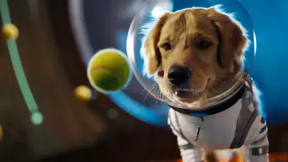 OpenAI, Sora Uygulamasını ve Yeni Sora 2 Modelini Tanıttı