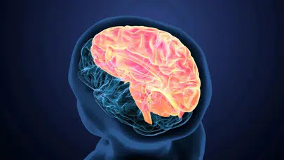 Düşünceyle Kontrol Dönemi: Neuralink’in Beyin İmplantında Üretim Aşaması