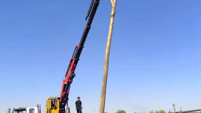 Milyonluk zararın faturası kesildi: Şanlıurfa’da anız ateşi elektrik şebekesini küle çevirdi
