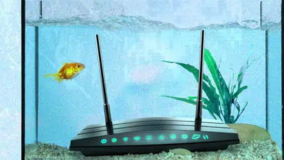 İnternet hızınız neden yerlerde sürünüyor? Modemin yanındaki bu gizli düşmanlar bağlantınızı sabote ediyor olabilir