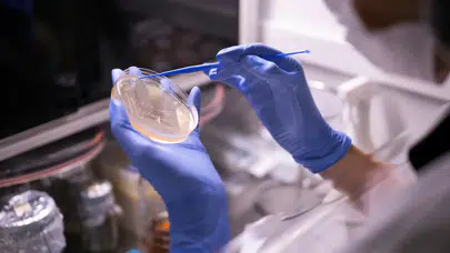 Nuvita İlaç'tan Ar-Ge atağı: Türkiye'nin zirvesine bir adım daha yaklaştı