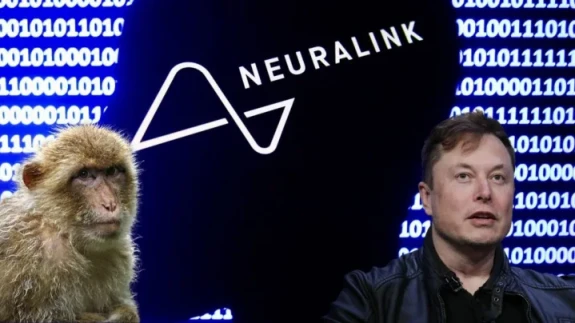 Neuralink maymunlarını Elon Musk'ın elinden kurtarmak için dava açıldı