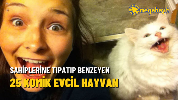 Bu kadar benzerlik fazla! Sahiplerine benzeyen 25 komik evcil hayvan