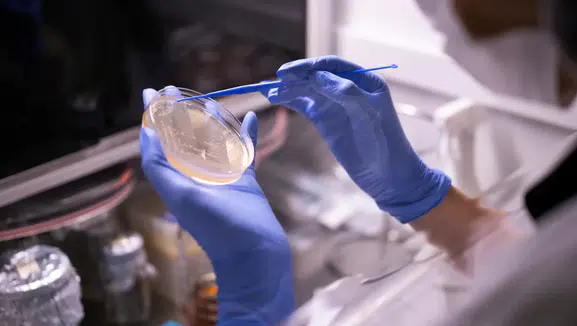 Nuvita İlaç'tan Ar-Ge atağı: Türkiye'nin zirvesine bir adım daha yaklaştı