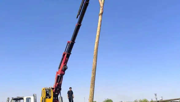Milyonluk zararın faturası kesildi: Şanlıurfa’da anız ateşi elektrik şebekesini küle çevirdi