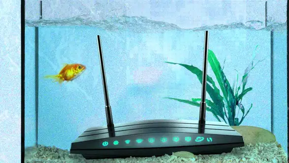 İnternet hızınız neden yerlerde sürünüyor? Modemin yanındaki bu gizli düşmanlar bağlantınızı sabote ediyor olabilir
