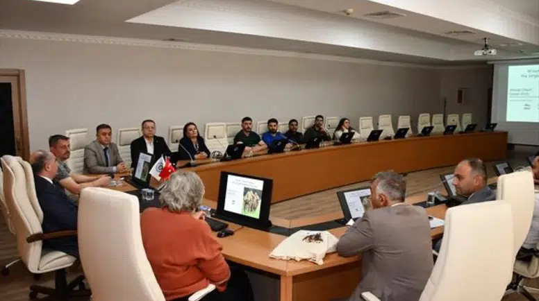 Kafkas Üniversitesi'nde tarihi proje: Avrupa bizonları Anadolu'ya mı geliyor?