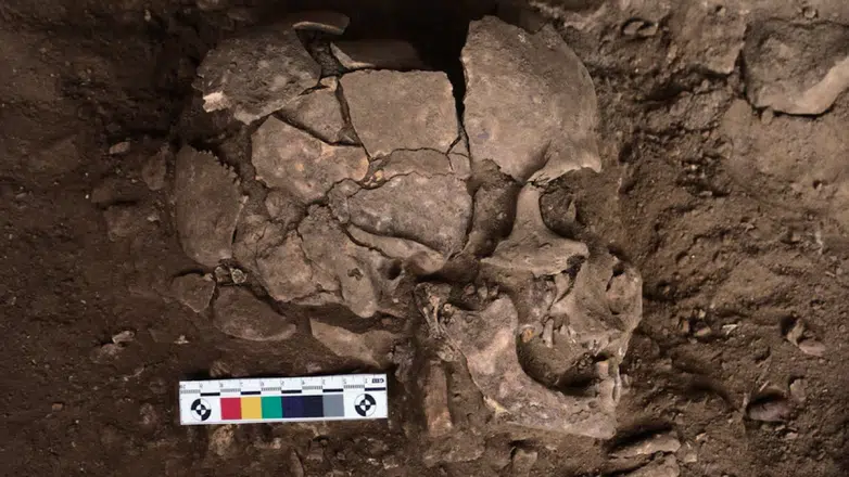 Tarihin en eski bağımlıları: 25 bin yıllık dişlerde şaşırtan izler bulundu