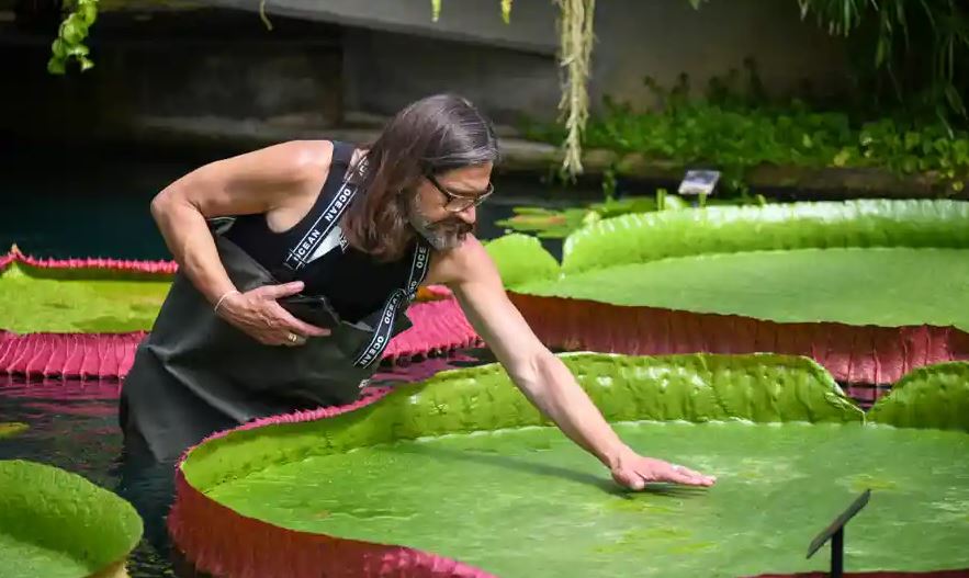 2022-07-06 13_35_50-8256.jpg (890×534)