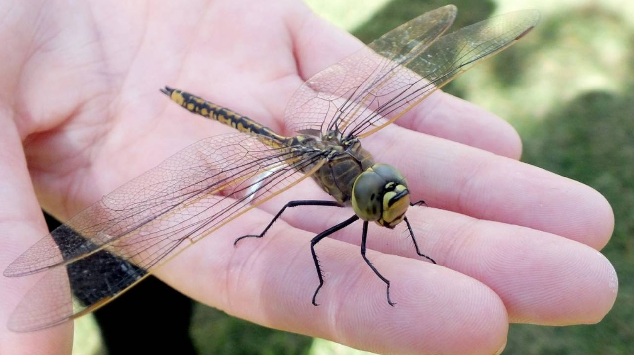 2022-07-14 10_08_47-Window