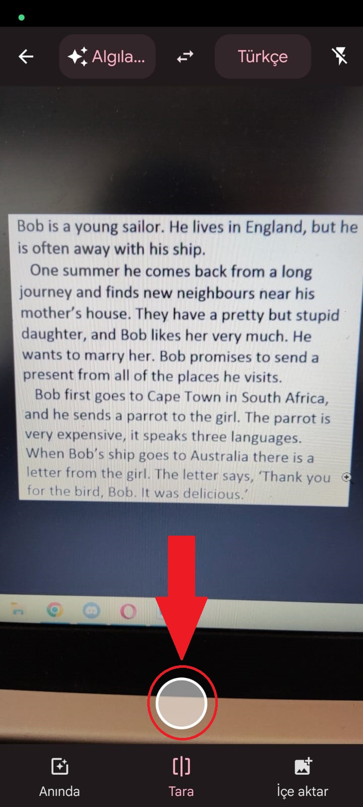 Google Çeviri ile resimdeki metni nasıl tarayabilirim?