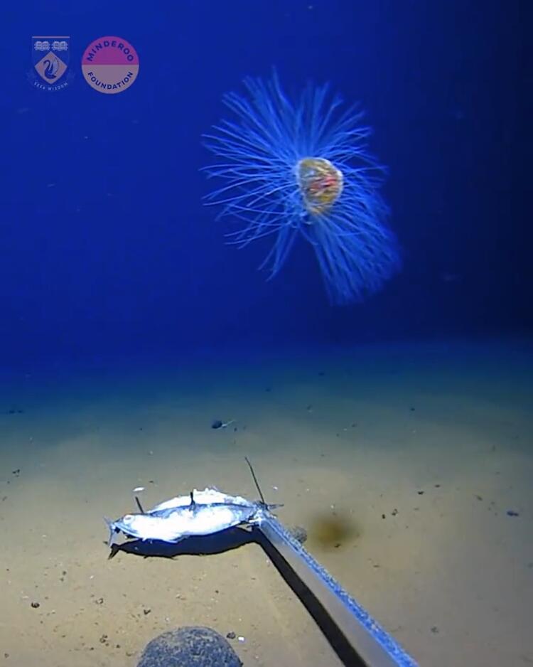 62d9213d470a9b15a81e2514