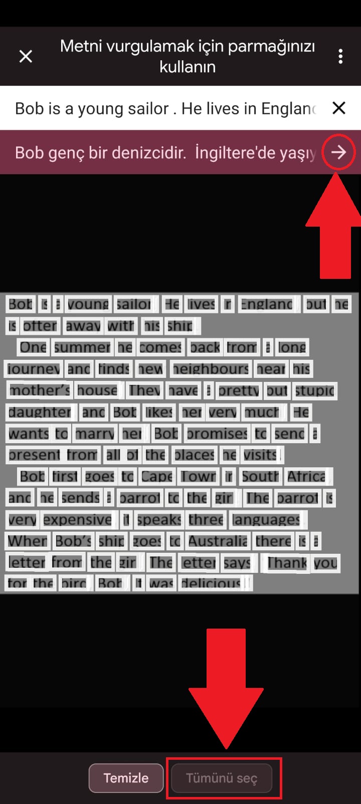 Google Çeviri ile telefonumda bulunan resmin metnini nasıl çeviririm?