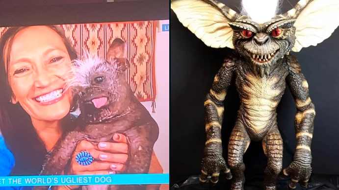 dünyanın en çirkin köpeği