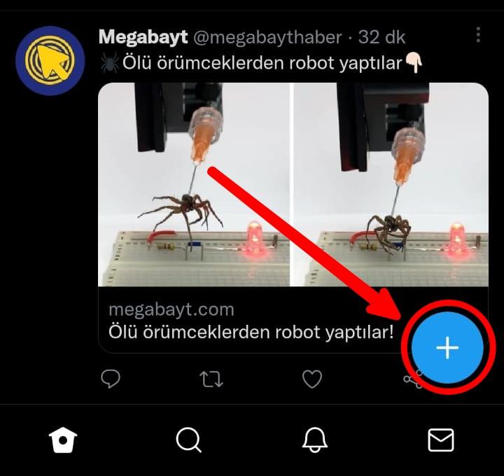 fa89d439-5cfe-4cac-86a7-b9e6e35235f1-crop