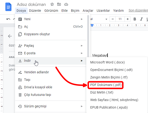 google dökümanlar (3)