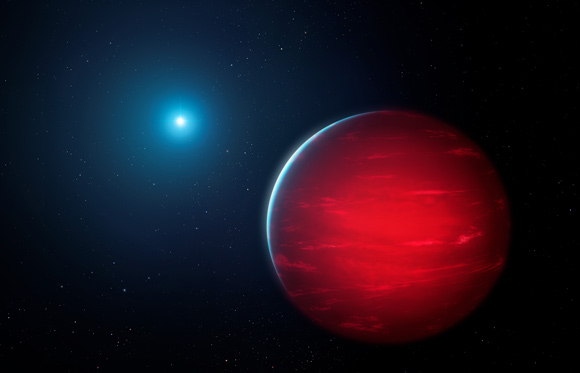 kahverengi cüceler (4)